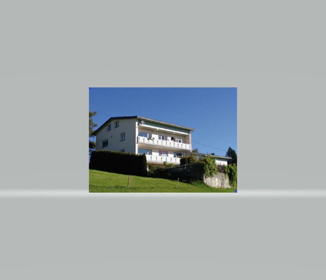 Haus Homann Apartment Sulzberg  Exterior photo